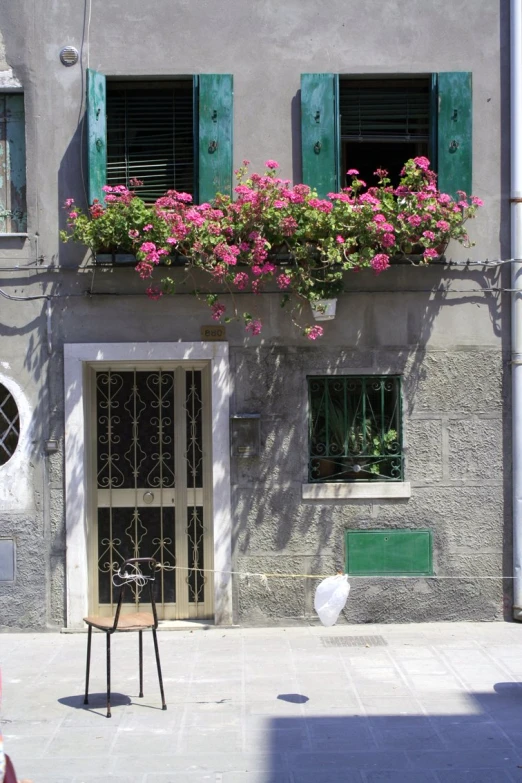 window with green shutters with pink flowers next to a red fire hydrant