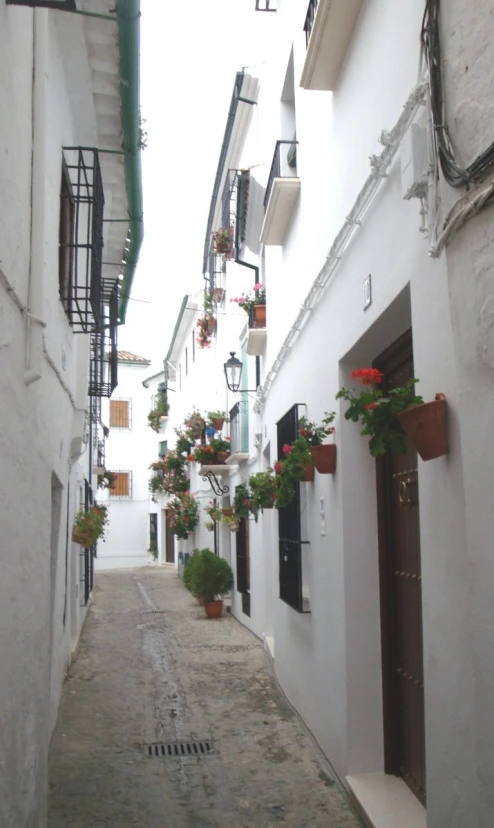 white wall and stone floor alley leading to buildings