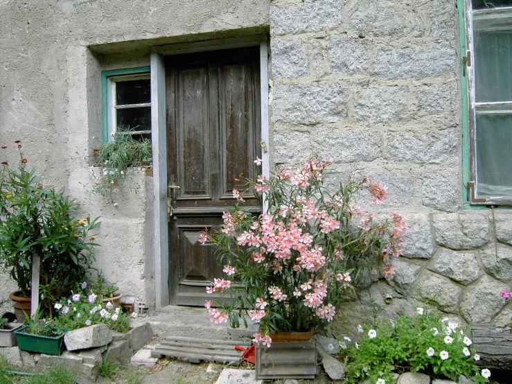 an outside view of flowers and stairs outside a house