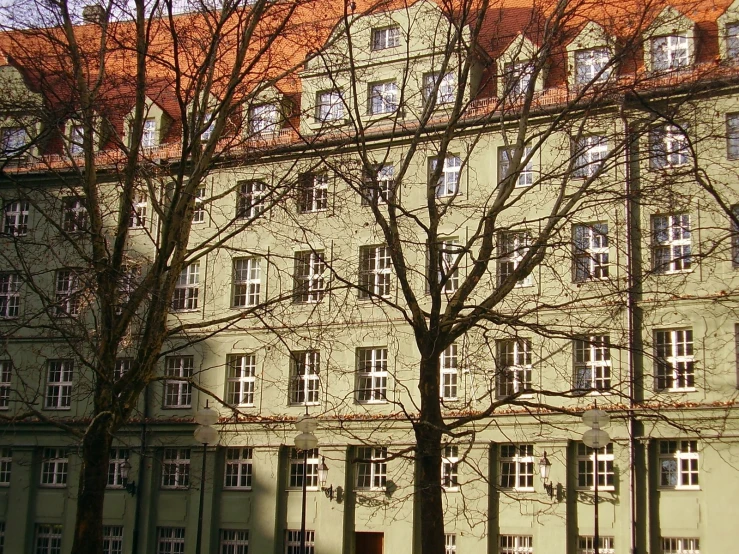 an old building has a tree next to it