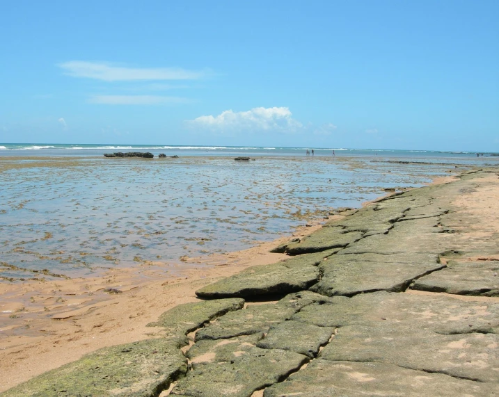 the sand and rocks have the water in them