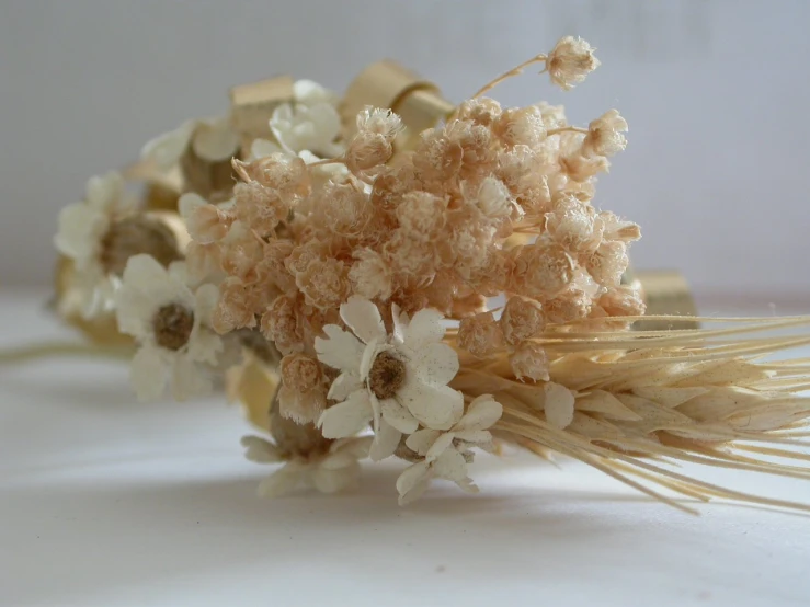 white flowers and hair on white background