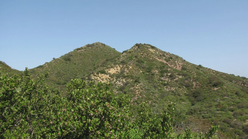 a hill sitting below a large mountain near the trees