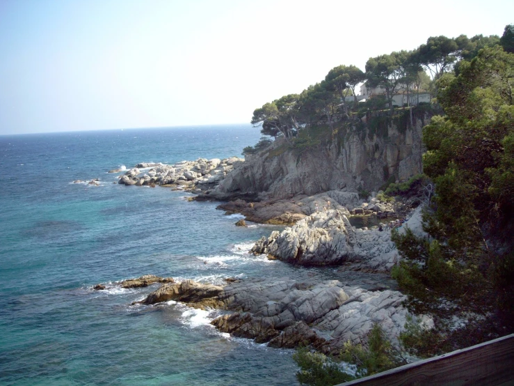 there are many trees near the rocks near the ocean