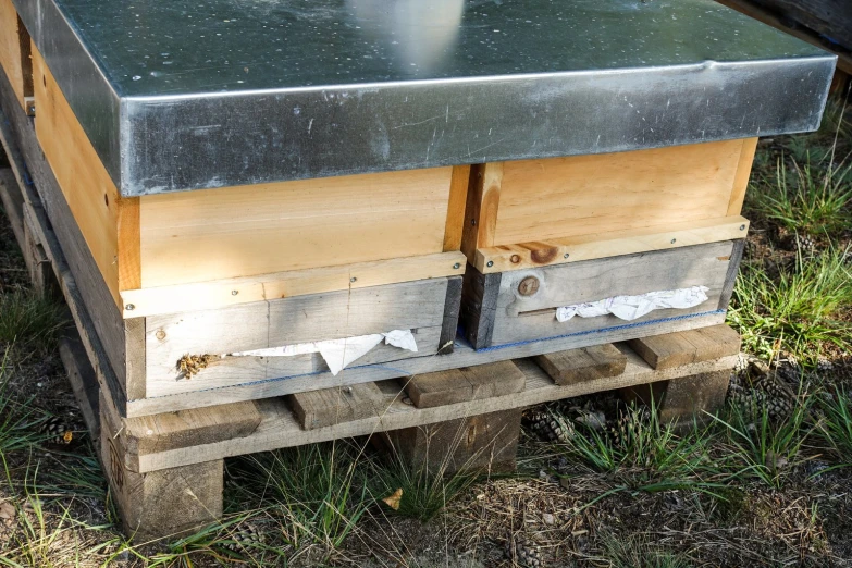 two beehibs sitting in wooden crates in the grass