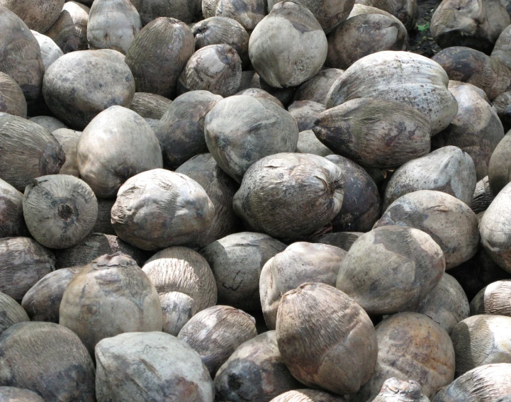 a large amount of gray rocks piled on top of each other