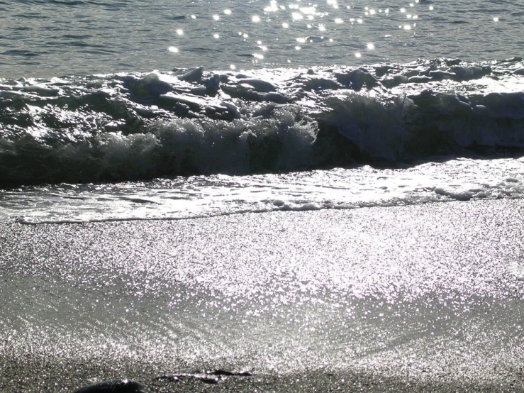 a person walking on the shore looking into the water