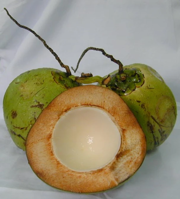 green fruit sitting in front of a white background