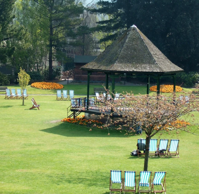 some chairs on a grass and a tree in the yard