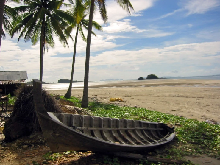 a boat lying on the ground near some palm trees