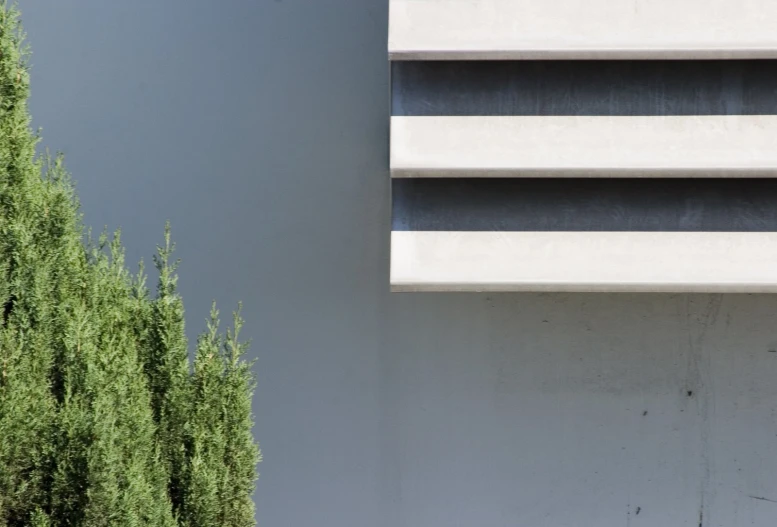 the wall and trees are outside by the building