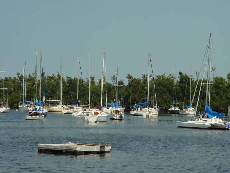 a group of boats that are out in the water