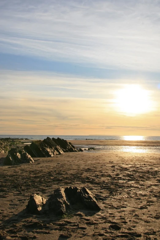 a man walking his dog on the beach as the sun sets