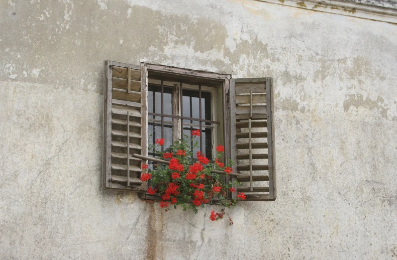 a window with a plant in it sitting in a wall