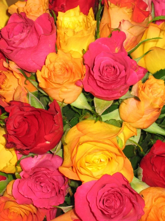 bright and colorful flowers are shown close up