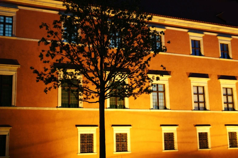 a tree in front of a brown building at night