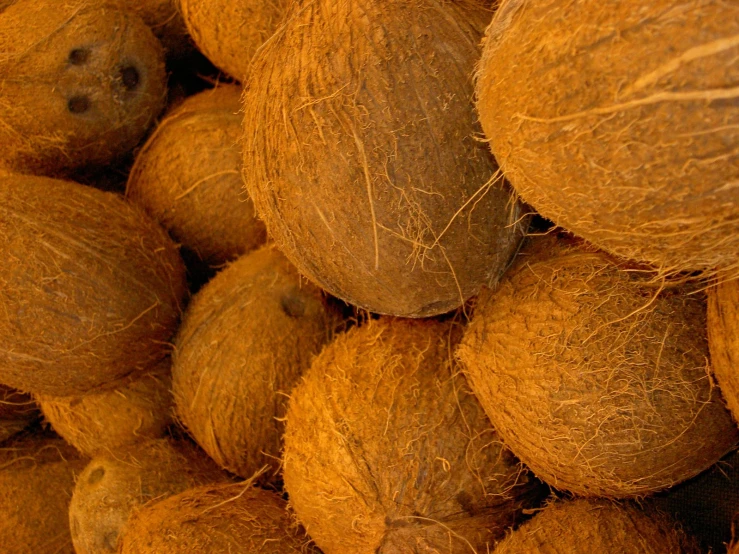 pile of whole coconuts sitting next to each other