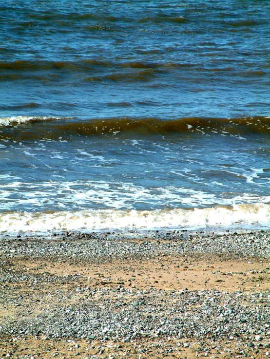 a small white bird on beach with the waves in the background