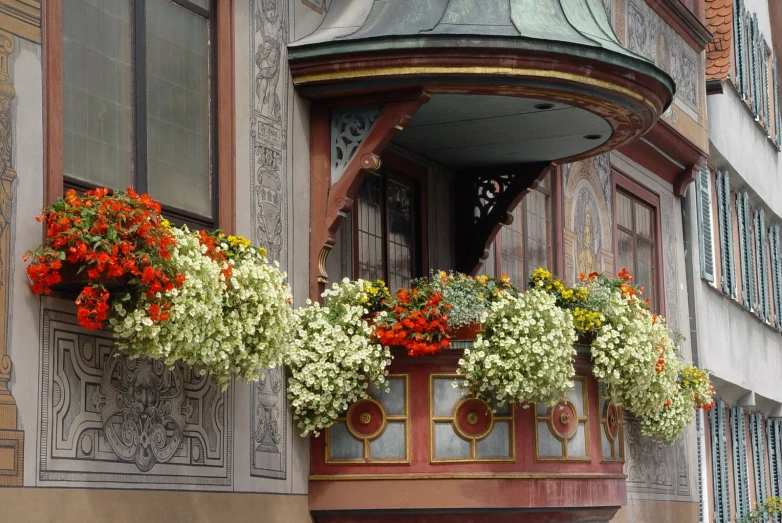 flower boxes on the side of the building line the street