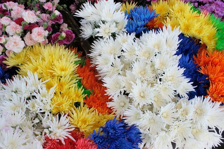 this multicolored bouquet of flower is from the tropical plant life