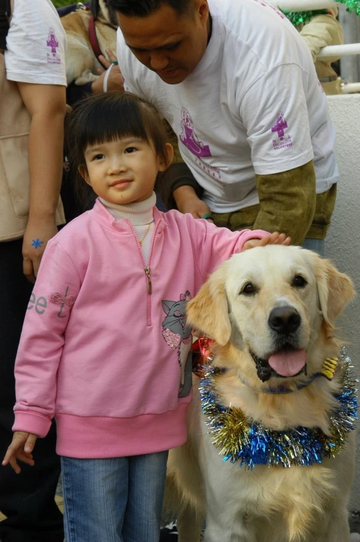 a man pets a golden retriever dog wearing a party outfit