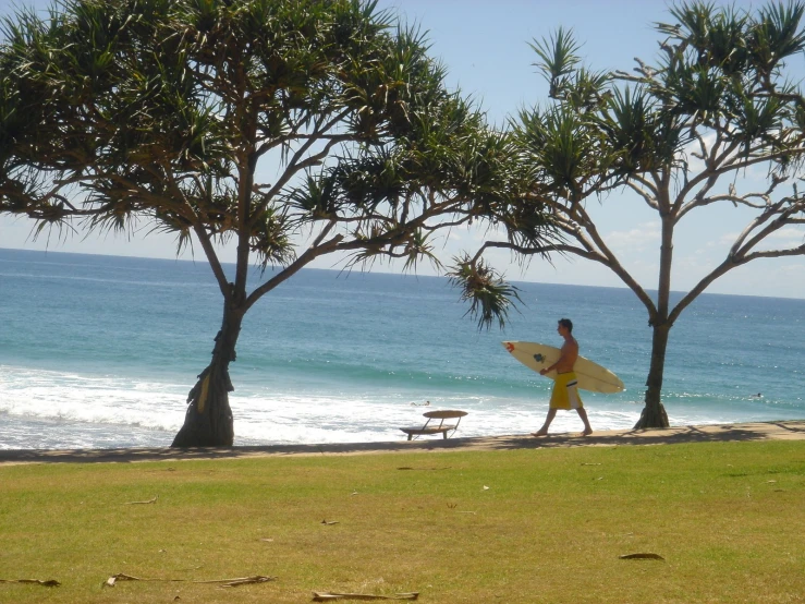 a man walking on the grass, carrying a surfboard