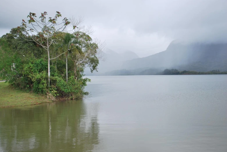 a lake in the middle of a forest on a rainy day