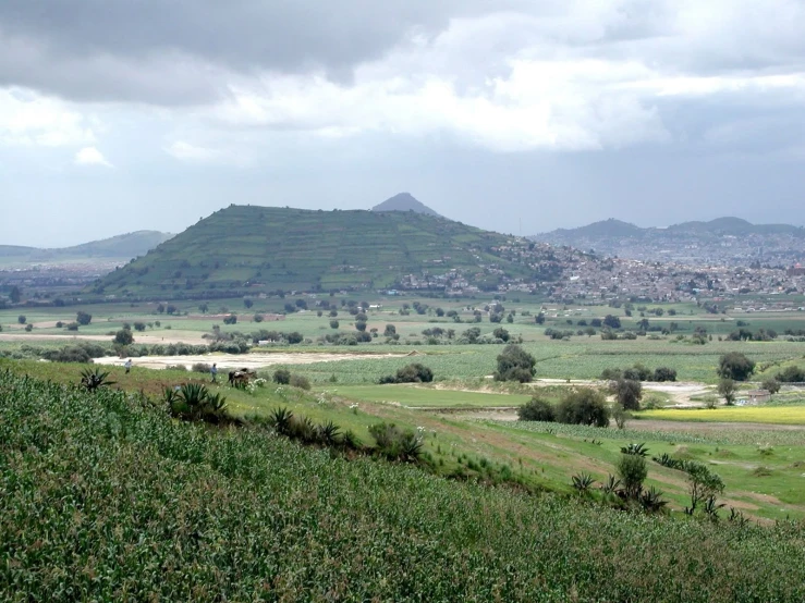 a view of a green mountain range from a grassy hill top