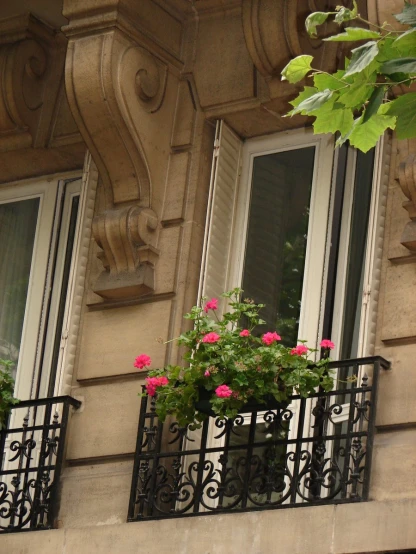 two windows with metal railing and flower pots
