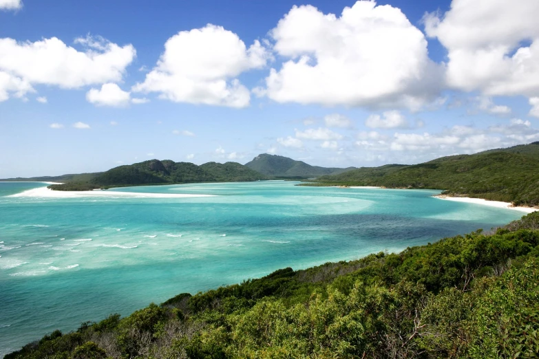 clear blue water and sandy shore in front of a green forest