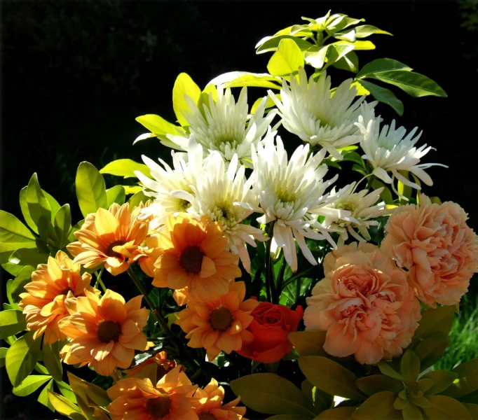 flowers are grouped together with yellow and orange blooms