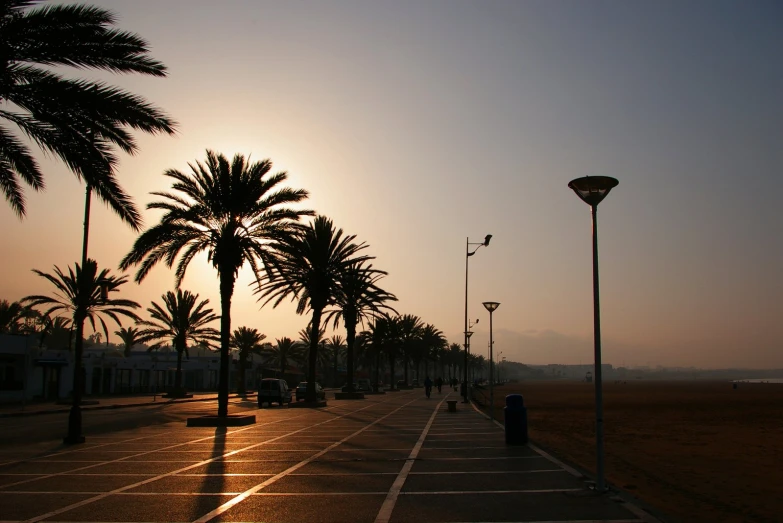 the sun rising over a sandy area with palm trees