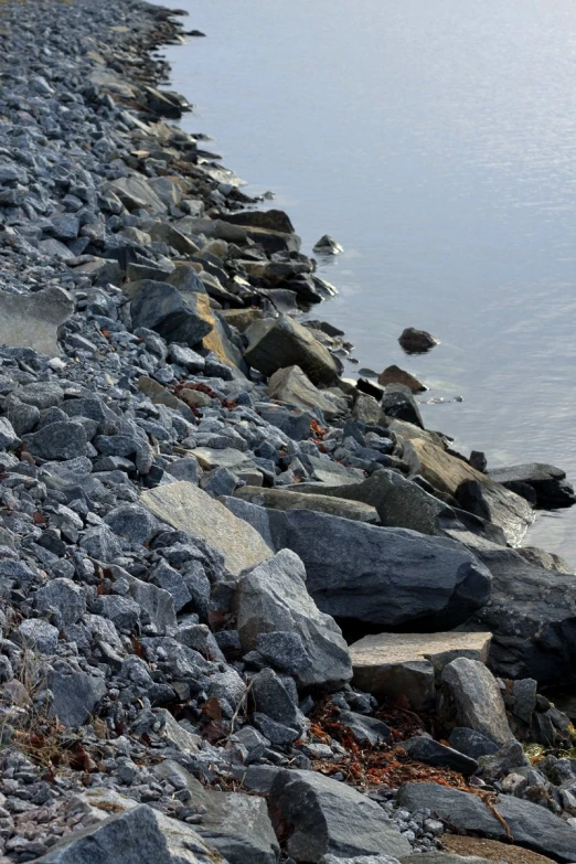 the water near the rocky shore is clear