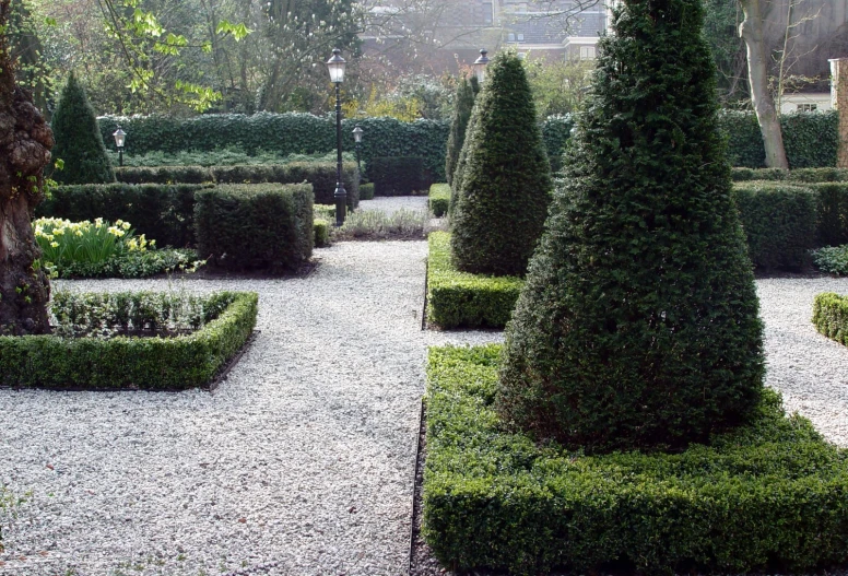 a number of shrubs near one another