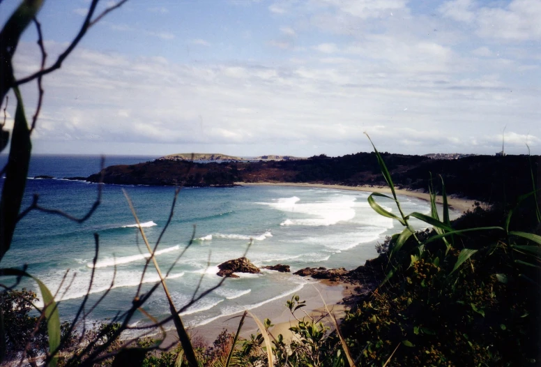 the view of an ocean beach from behind green plants