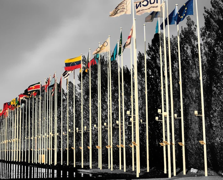 a lot of flags on poles with sky in background