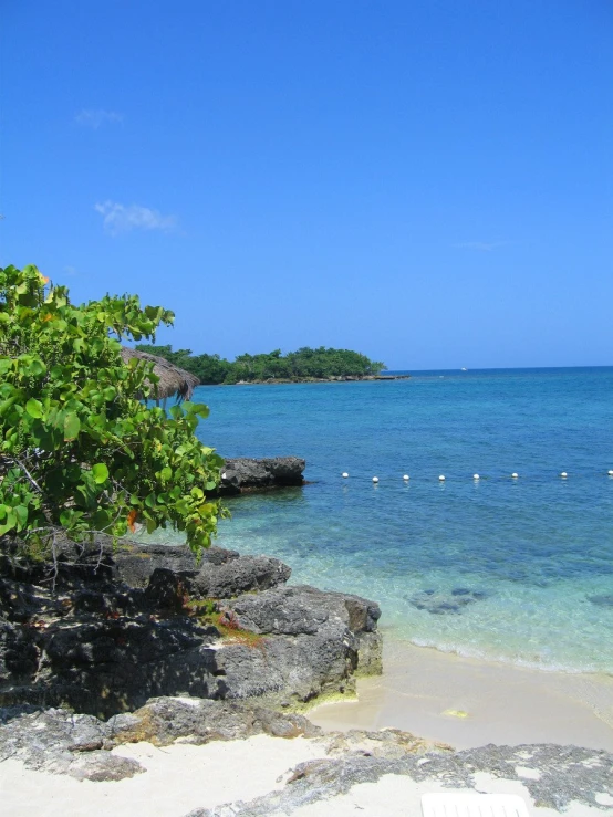 some people swimming in the clear blue water