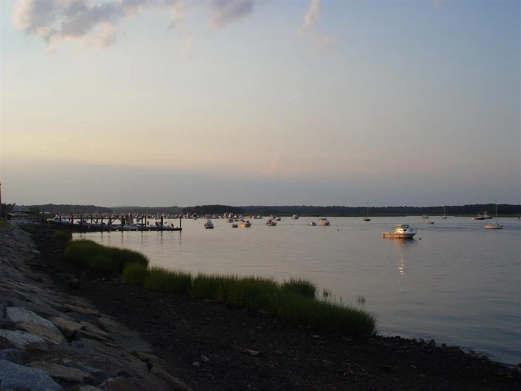 many boats floating on a lake with lots of grass