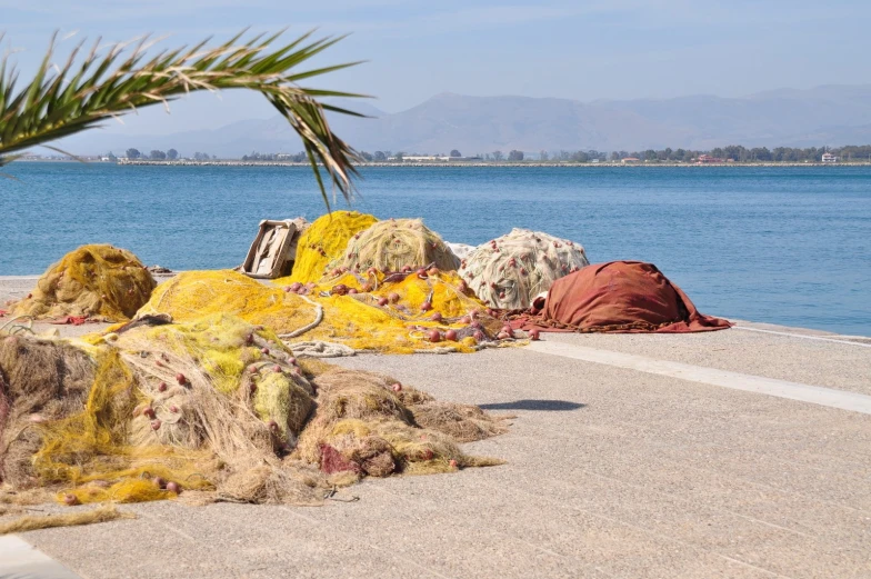 colorful rocks and plants covered in colored seaweed