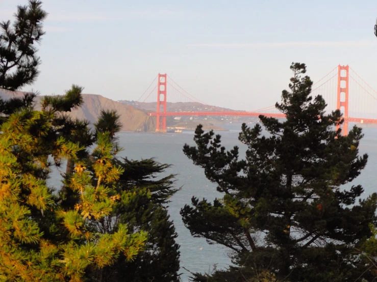 an area with a body of water and the bridge in the background