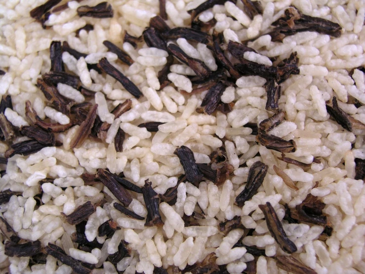 white rice and other types of brown seed are mixed together