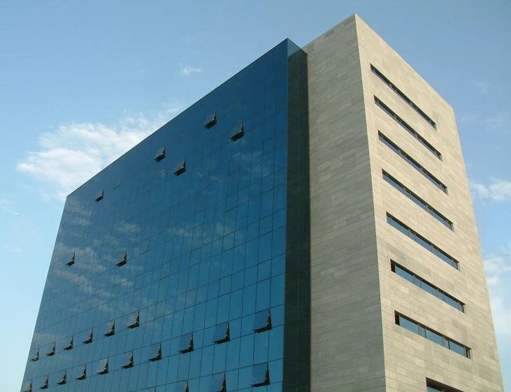 a very tall building has multiple windows and birds on it