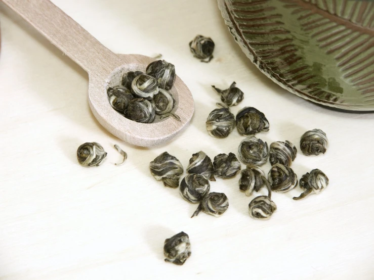 small buds on a wooden spoon on a counter