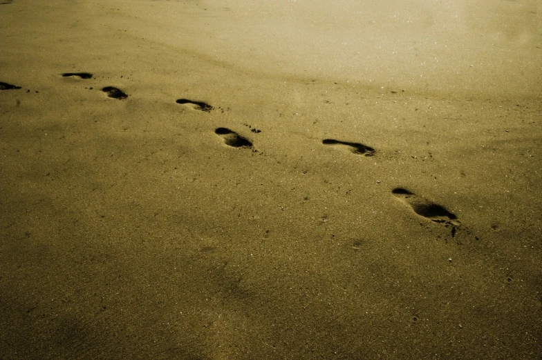 footprints in the sand on a beach near water