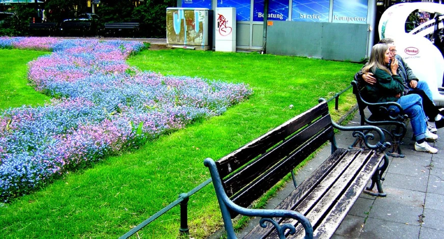 a woman sitting on top of a wooden bench next to a green grass covered park