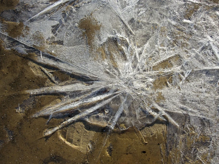 snowflakes on top of a sandy surface with snow