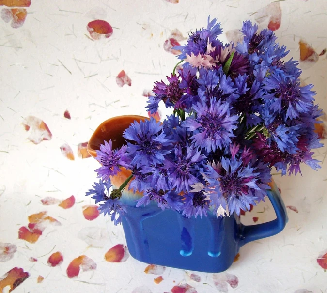 a blue pitcher full of purple flowers is on the floor