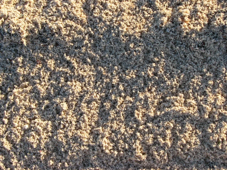 a bird sitting in the middle of a sandy area