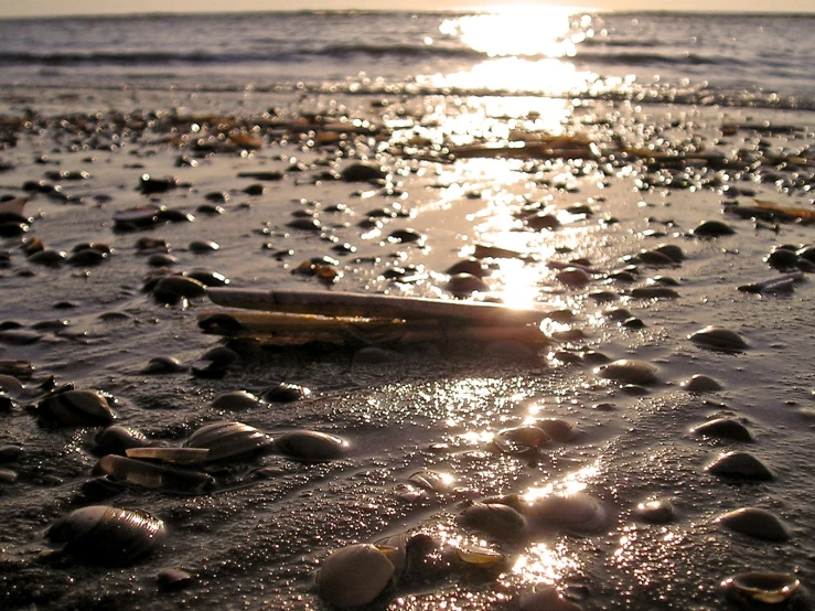 a surfboard laying on top of rocks near the ocean