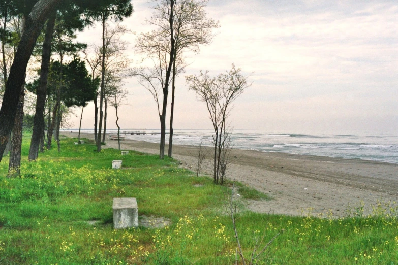 there are many benches along this grassy beach